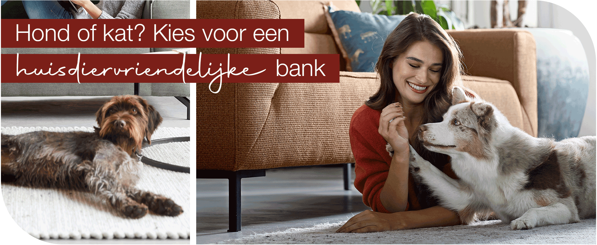 Hond of kat? Kies voor een huisdiervriendelijke bank! 