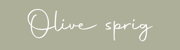 Histor Olive sprig